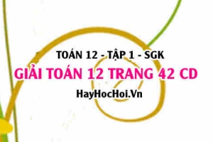 Giải Toán 12 trang 42 tập 1 Cánh Diều